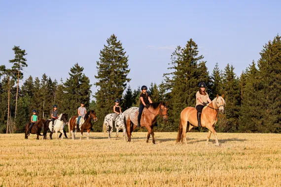 sechs Gästekinder reiten auf Pferden und Ponys über eine Wiese